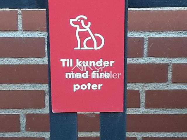 Lichtdurchflutetes Reihenendhaus in Top Zustand – Hochwertig ausgestattet mit Carport & Garten