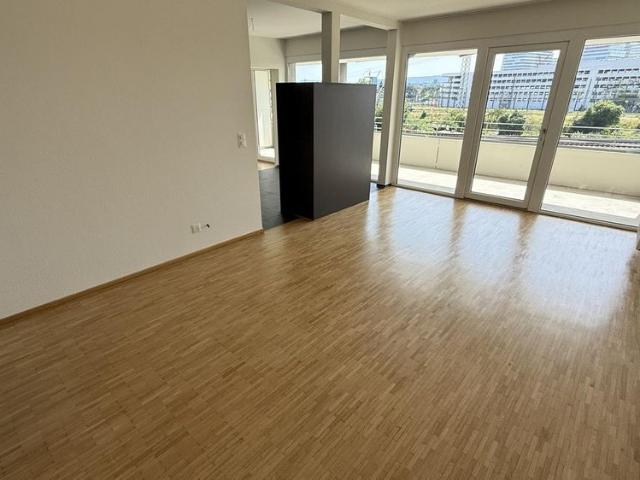 Lichtdurchflutetes Wohnglück an Top Lage im Basler Hirzbrunnenquartier