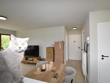 Lichtrijk 1 slk. app. met een bew. opp. van 50m² te Turnhout