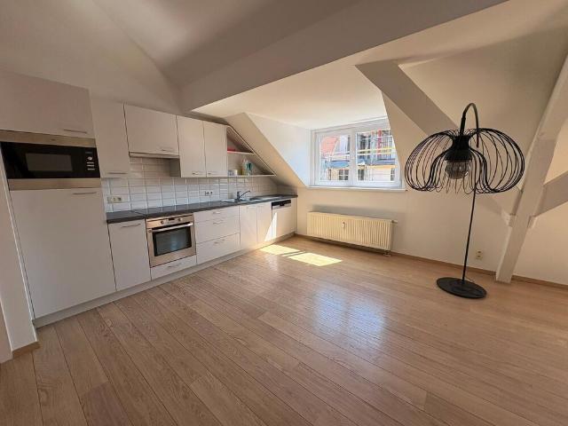 Lichtrijk appartement met mezzanine te centrum Oostende te huur!