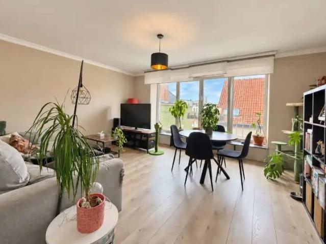 Lichtrijk appartement met terras tussen Dampoort en Sint Jacobs