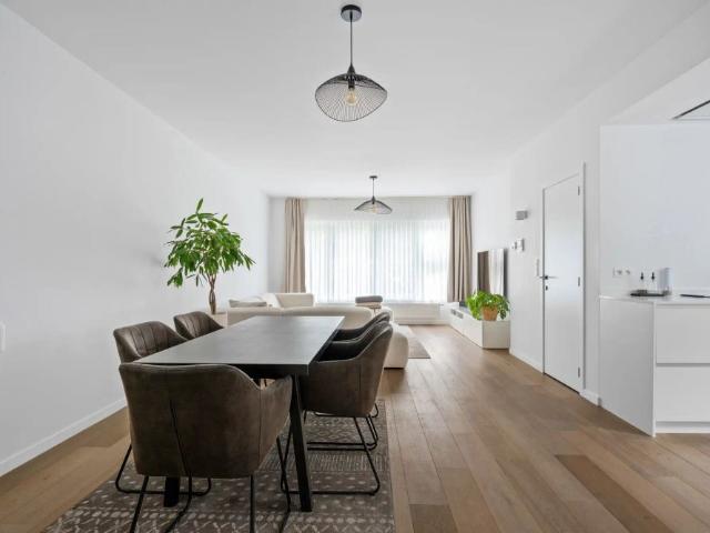 Lichtrijk gerenoveerd gelijkvloers appartement met garage