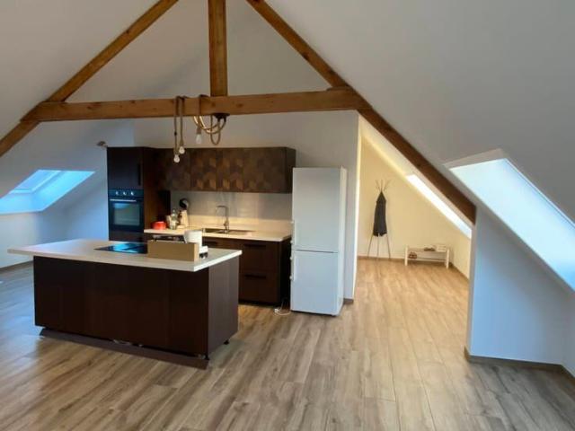 Lichtrijk en ruim 2 slpk appartement te huur vanaf 01/08