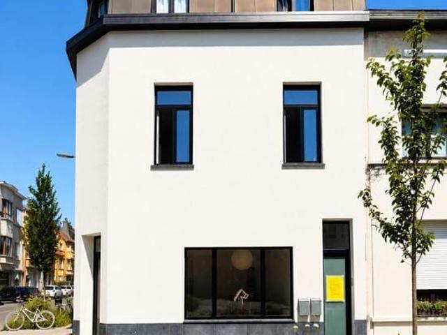 Lichtrijk hoekappartement in bruisend Oud Berchem