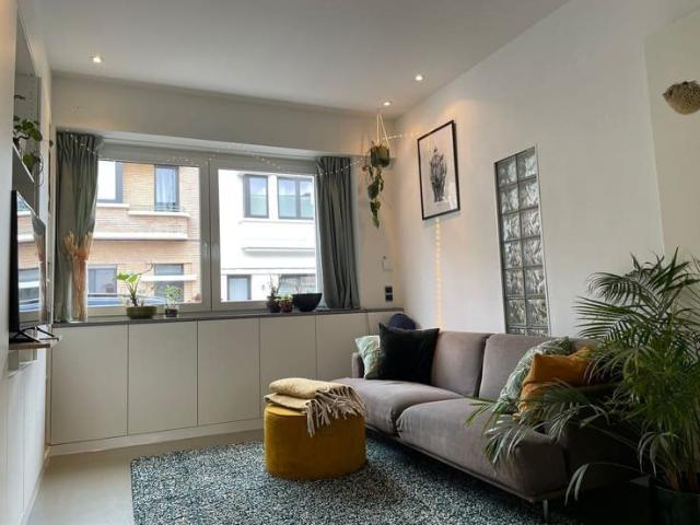 Lichtrijk huis in Borgerhout met zalige tuin