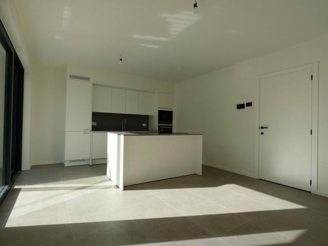 Lichtrijk nieuwbouwappartement met zonnig terras