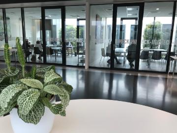 8560, Wevelgem, Arrondissement de Courtrai, Flandre