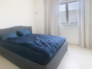 8800, Roeselare, Roulers, Flandre-Occidentale, Flandre
