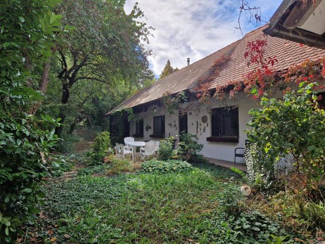 LIEBEVOLLES, SANIERUNGSBEDÜRFTIGES LANDHAUS IN GRÜNRUHELAGE MIT GESCHLOSSENEM INNENHOF UND HERRLICHEM GARTEN MIT ALTBAUMBESTAND