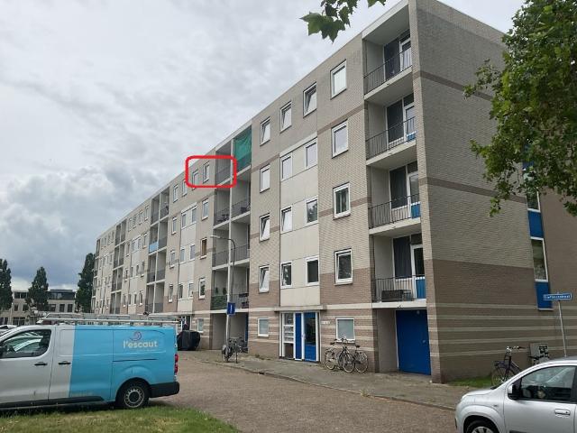 Lieftinckstraat 79