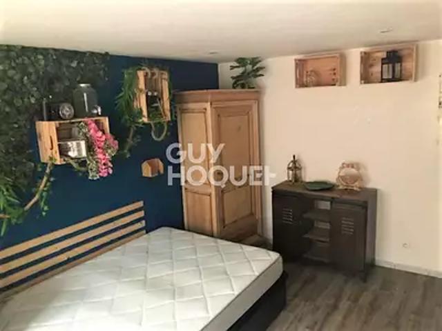 Lièpvre 68660 Location appartement 1 pièce t1 cave