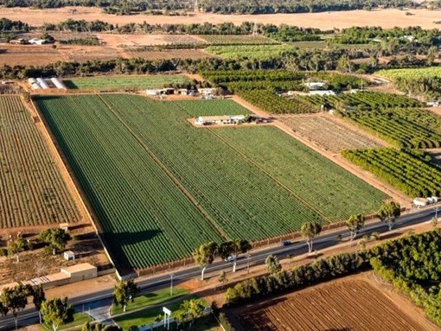 Lifestyle and Horticultural Opportunity