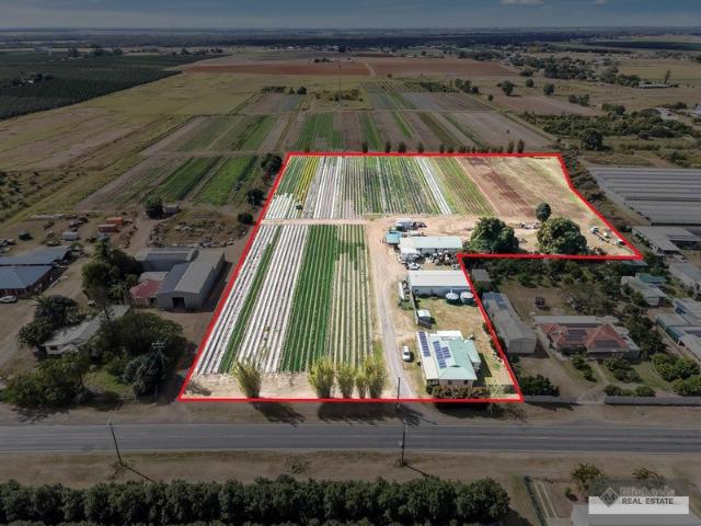 Lifestyle Acreage with Income Potential Small Crops Farm Just Minutes from Bundaberg & Moore Park Beach