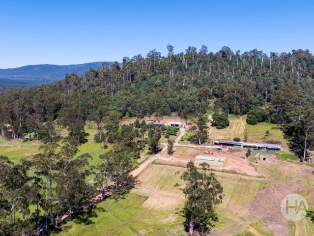 Lifestyle Acreage with Scope to Shape Over Time