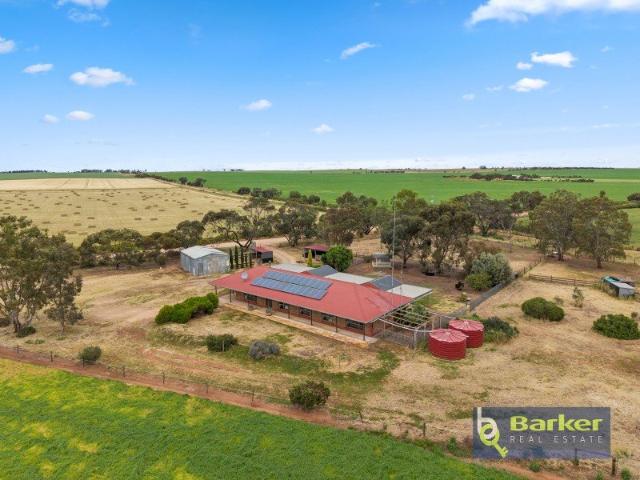 Lifestyle Acreage with Space, Shedding & Rural Potential