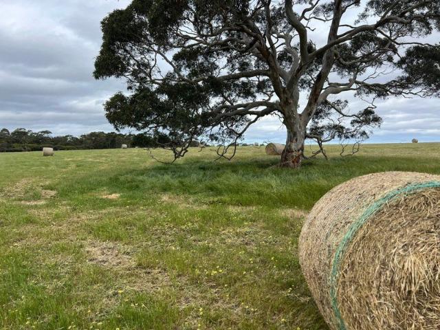 Lifestyle & Agricultural Entry level Price with instant Opportunity. Hay, Crop, Livestock. *Vendor Finance Available