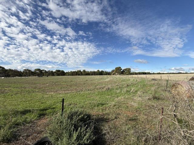 Lifestyle Allotment on Approx. 3.1 Acres with Dual Road Access