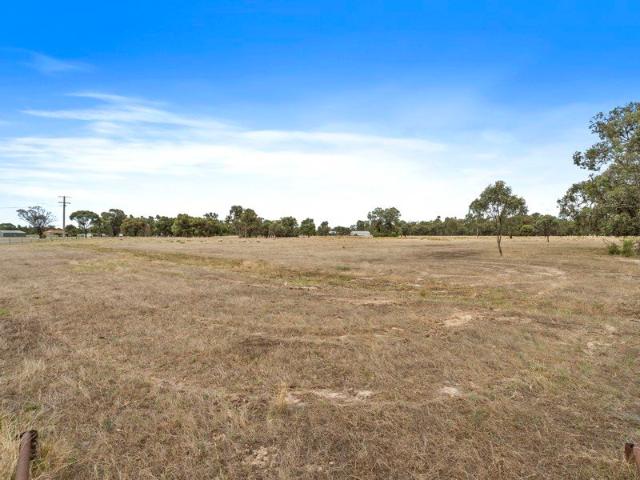 Lifestyle Block for the Hobby Farmer
