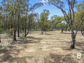 LIFESTYLE BLOCK IN TOWN 2.8 ACRES APPROX. A RARE OPPORTUNITY AWAITS