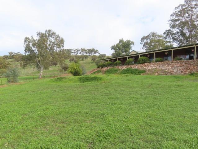 Lifestyle Block Ready To Go, Greatest Location Ever