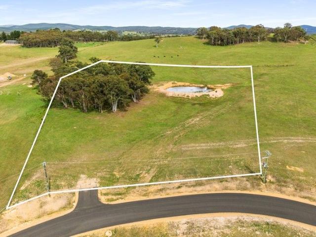 Lifestyle Block with Dam, Views and Country Appeal