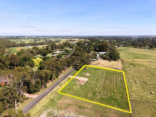 Lifestyle Block with Rural Views