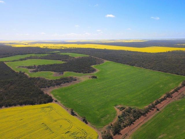 Lifestyle, Grazing or Farming Opportunity
