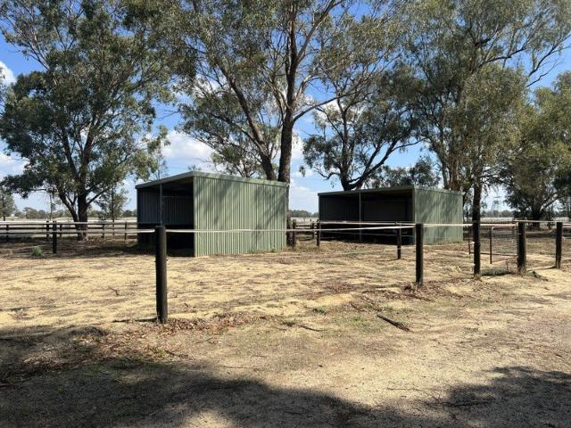 LIFESTYLE FOR HORSES IN TRANQUIL SETTING