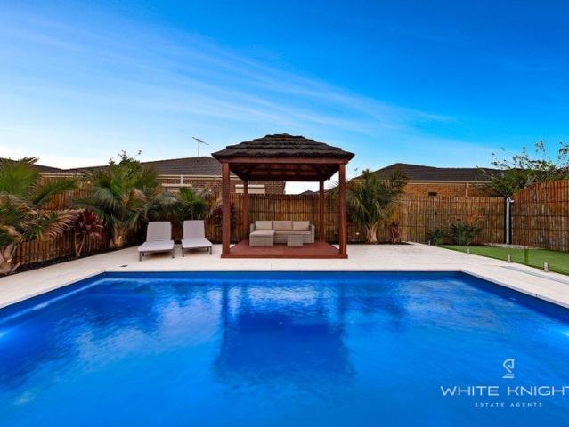 LIFESTYLE HOME WITH A RESORT TYPE BACKYARD & A POOL!