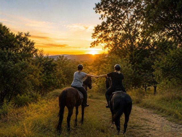 Lifestyle, Horses, Dual Living & Mountain Views 1.77 Hectares 4.37 Acres at the Base of Tamborine Mountain