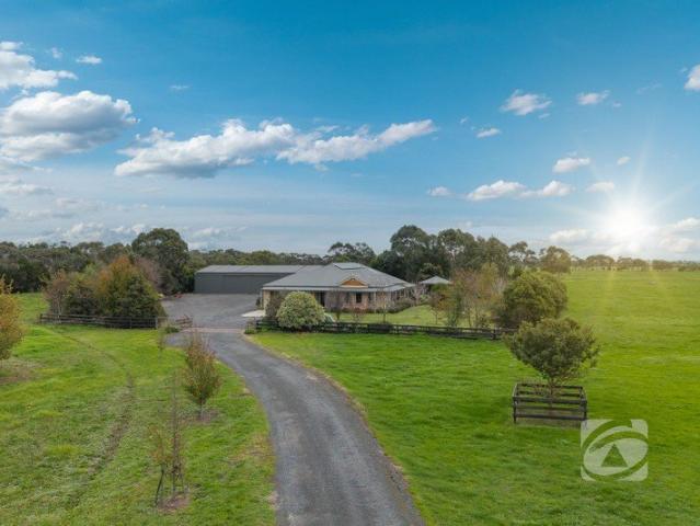 Lifestyle Haven on 30 Acres with Exceptional Shedding