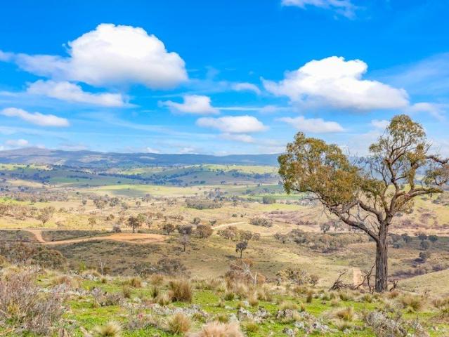 Lifestyle Investment 516 Acres