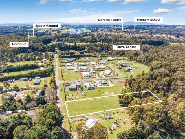 Lifestyle Just under 2 Acres Allotment in Trentham's Exclusive Owl Woods!