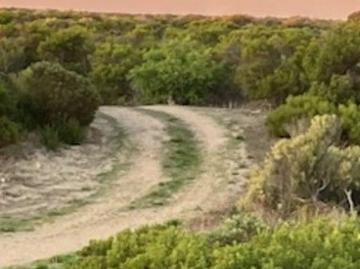 Foul Bay, Yorke Peninsula, Garden Island, City of Salisbury, South Australia