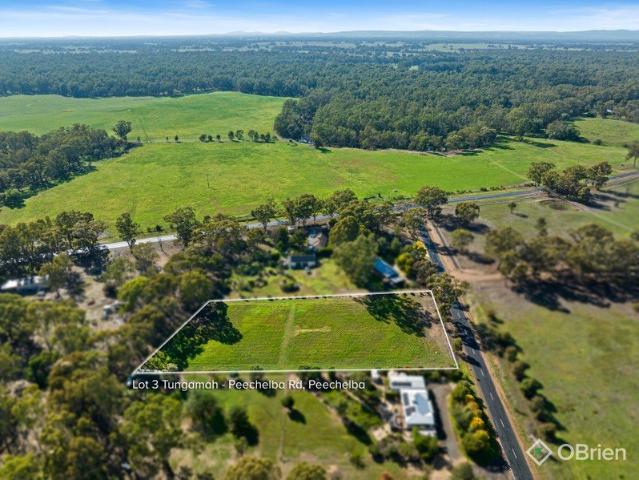Lifestyle Opportunity on Expansive 5,997m² Allotment