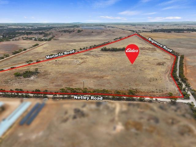 Lifestyle Opportunity on the Outskirts of Murray Bridge