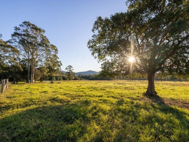 Lifestyle, Land and Limitless Potential on the Manning River