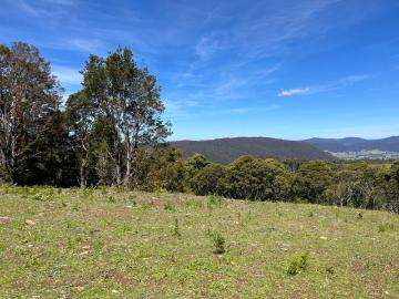 Pyengana, Dorset, Tasmania Island
