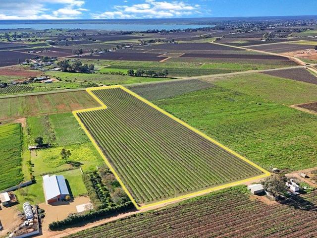 Lifestyle, Space and Opportunity in Barmera