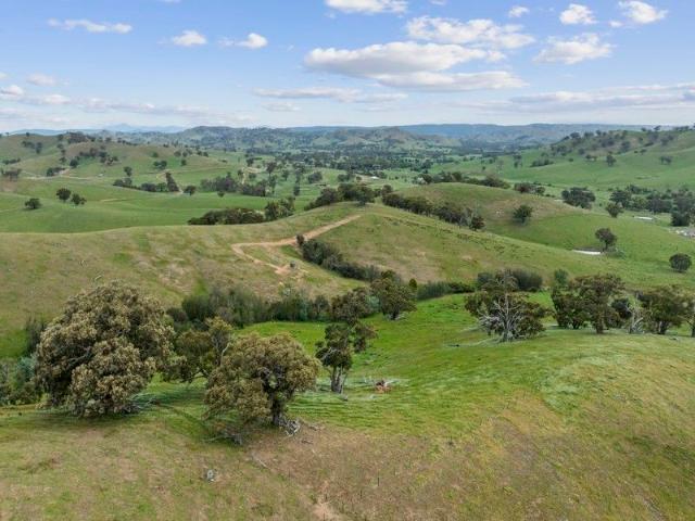 Lifestyle Perfection on 40 Acres