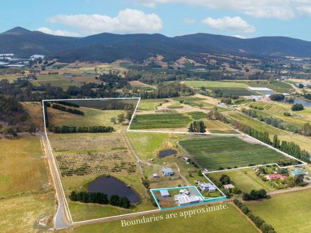 Lifestyle Property with Commercial Potential
