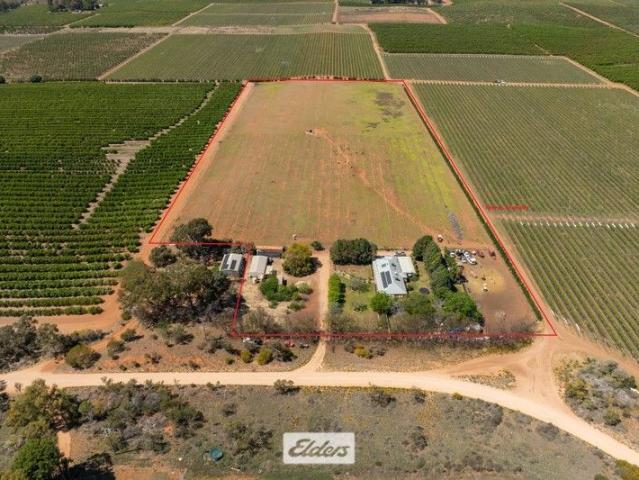 Offering a Rural Lifestyle with a Brick homestead, shedding and a pool