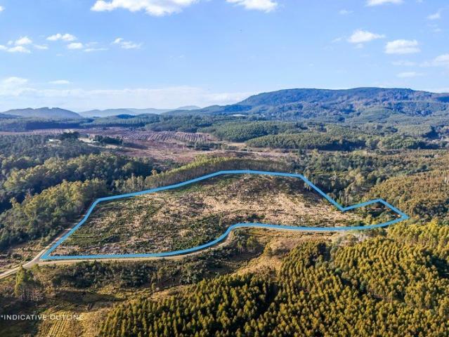 Lifestyle/Recreation Block on 15.94Ha 39.38acres