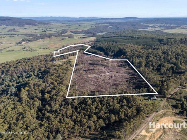 Lifestyle/Recreation/Forestry property