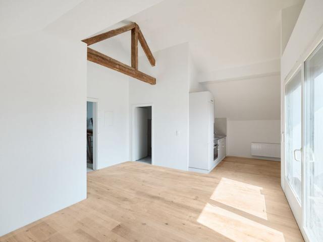 LIGHT AND MODERN 2.5 ROOM ROOFTOP APARTMENT