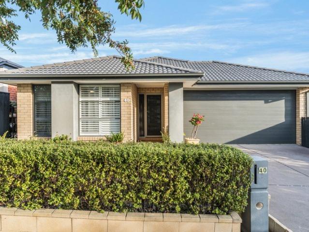 Light, Bright & Central Drysdale Living
