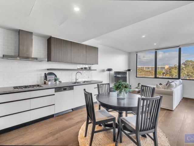 Light Drenched Designer Oasis In Immaculate Complex, Inner City Location