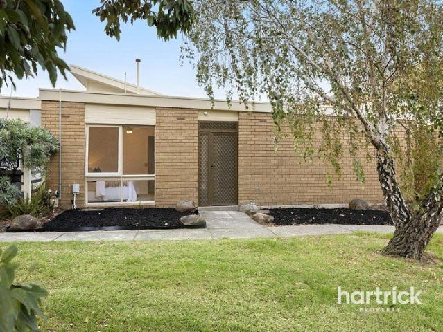 Light filled classic with lifestyle appeal