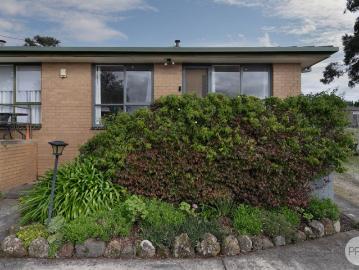 Light filled and Low Maintenance in Leafy Mount Clear