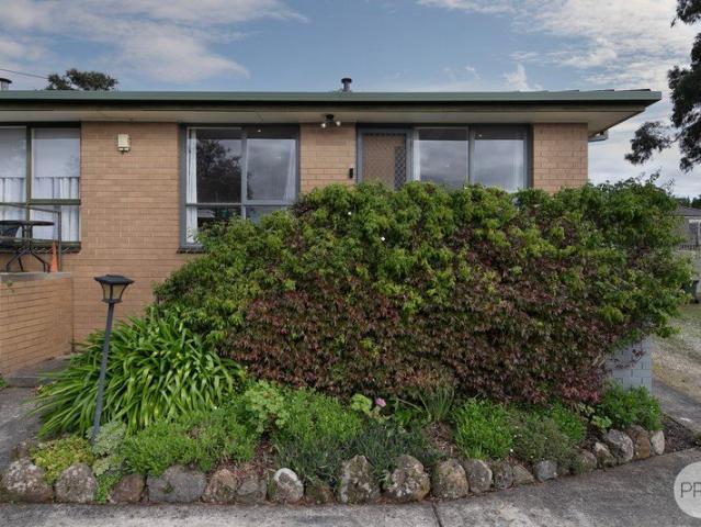 Light filled and Low Maintenance in Leafy Mount Clear